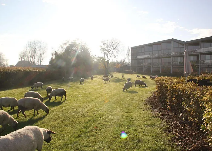 Le Relais Saint Michel 4*